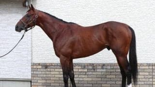 祖父トウカイテイオーが成し得なかった天皇賞(秋)制覇は目の前 ベスト舞台でGIタイトル獲得なるか