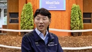 【ミックスセール2024】吉田俊介氏「セール出身馬の活躍で認知度が上がった」当歳セッション35億円超えで落札総額は昨年の倍を記録！落札率は100%