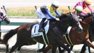 【アルテミスS展望】GI馬続出の出世レース、差し追い込みが決まりやすい