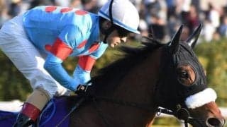 史上最多10頭のGI馬が参戦 名牝が最強を誇示した5年前の天皇賞(秋)