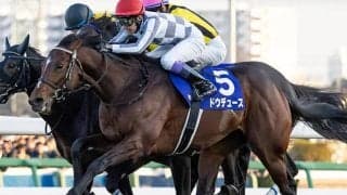秋古馬三冠なら“14.2億円”!? 惜しくも二冠だった馬は何頭いる？
