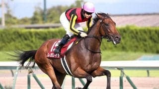 【エリザベス女王杯想定】レガレイラ、スタニングローズなど10頭