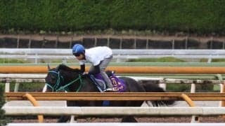 ドゥラエレーデなど、みやこS1週前追い切り速報/栗東トレセンニュース