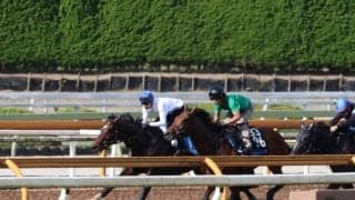 ノットゥルノなど、JBC競走1週前追い切り速報/栗東トレセンニュース