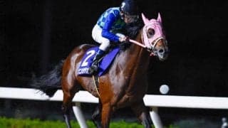 【浦和・埼玉新聞栄冠賞結果】ナニハサテオキが力でねじ伏せ圧倒的人気に応える