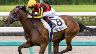 世界を股にかける“ダート王”フォーエバーヤングの半妹 無傷連勝でアルテミスS制覇なるか