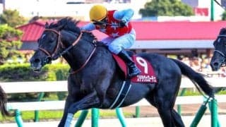 【天皇賞(秋)予想】ビッグレースへの実績がカギ！ AIが推奨する実力ある穴馬とは