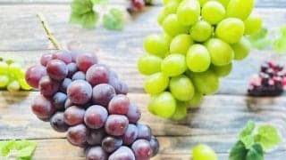 読書の秋のお供には「ぶどう」が最適な理由　目の悩みを抱える方必見！