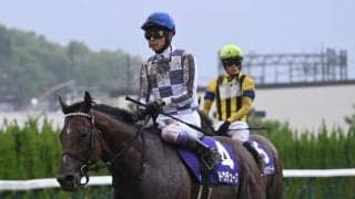 【天皇賞(秋)枠順確定】ドウデュースは4枠7番、リバティアイランドは7枠12番