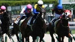 【アルテミスS出走馬・騎手確定】カムニャック＆川田将雅騎手、マイエレメント＆横山武史騎手など11頭