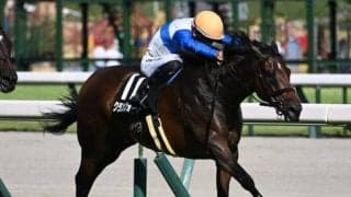 【スワンS出走馬・騎手確定】クランフォード＆西村淳也騎手、スズハローム＆鮫島克駿騎手など17頭