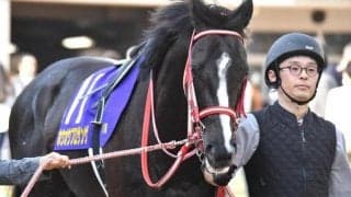 矢作厩舎の4.1億円馬 特別初勝利を収め今後への足がかりとできるか