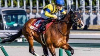 ディープ産駒の未完の大器 豪G1・コックスプレートで今度こそ悲願なるか