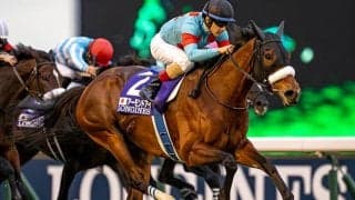 アーモンドアイ初仔のデビュー戦 ライバルの顔ぶれは？