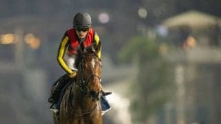 【天皇賞・秋】リバティアイランドは496kg…調教後馬体重