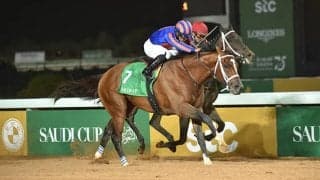 マキシマムセキュリティ産駒がJRA初出走 トーセンペネロペがデビューVなるか