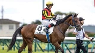 【アルテミスS枠順確定】ブラウンラチェットは2枠2番、カムニャックは8枠10番