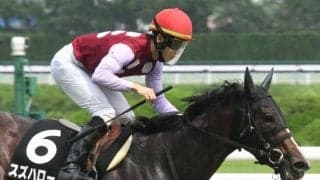 【スワンS枠順確定】スズハロームは4枠8番、クランフォードは2枠4番