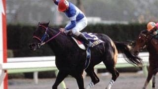 GI級競走2勝のトーホウエンペラーが死亡 28歳