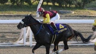 JpnI馬が最下級のC3クラスからリスタート 土曜高知7Rで復活ののろし上げるか