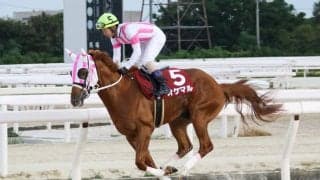 【ネクストスター園田】オケマルが無傷の三連勝…下原「ホッとした」