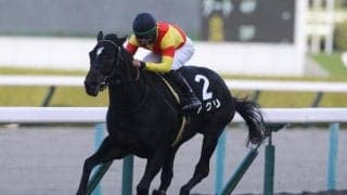 【スワンS予想】前走の着順に惑わされないことが重要!? 注目したいのは前回の人気や距離