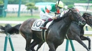 東京芝はエピファネイア産駒に注 マイエレメントの重賞初制覇だ