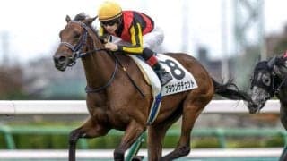 【アルテミスS予想】高期待値は前走未勝利組！ 的中の鍵を握るのは新馬組の取捨