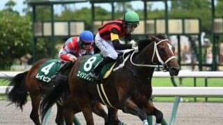 【京王杯2歳S想定馬・騎手】エイシンワンド、レモンバームなど14頭