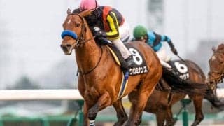 【AR共和国杯想定馬・騎手】クロミナンス、セレシオンなど14頭