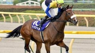 母は3冠牝馬、半姉もGI馬 超良血馬がC.デムーロ騎手で新馬勝ちなるか