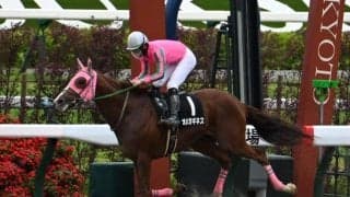 【みやこS想定馬・騎手】オメガギネス、ドゥラエレーデなど19頭