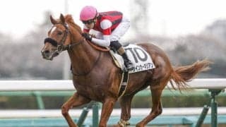 【今日の注目ポイント】京都でスワンSと東京でアルテミスS アーモンドアイの初仔がデビュー