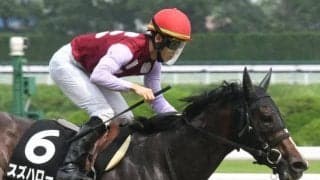 【スワンS予想】マイラーとスプリンターが秋の京都で一堂に会する マイルCSへの切符かけた戦い