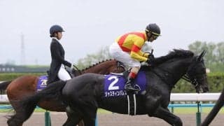 【競馬予想】天皇賞・秋は「３強」による決め手勝負の可能性大も、そこに割って入る伏兵に注意せよ