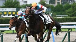 GII・2勝馬の弟 萩Sでデビュー2連勝なるか