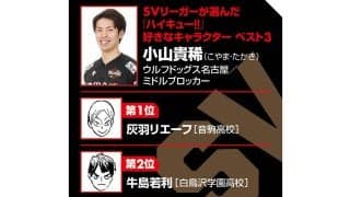 【ハイキュー‼×SVリーグ】ウルフドッグス小山貴稀から見た『ハイキュー‼』は「教科書」　「雑草」がSVリーガーになるまでを振り返る