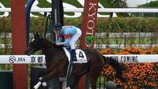 【京都4R新馬戦結果】ナダル産駒ヴィリアリートが快勝 C.デムーロ騎手はJRAで約1年10か月ぶりV
