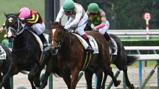 【京都5R新馬戦結果】リアルスティール産駒ミッキーゴールドが競り合いを制す