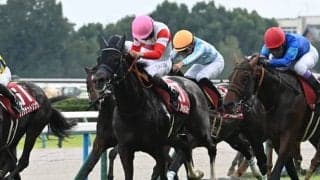 【スワンS結果】3歳馬ダノンマッキンリーが差し切り重賞2勝目！