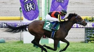 【アルテミスS】超良血ブラウンラチェットがデビュー2連勝