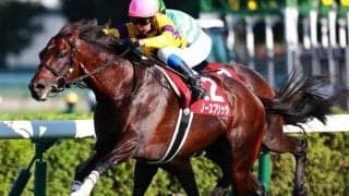 東京芝は内＆前ベター 展開利大のノースブリッジが波乱を呼ぶか