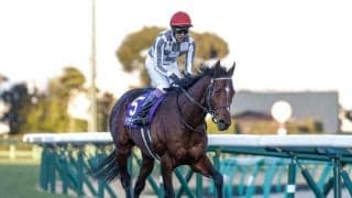 【AI予想・天皇賞(秋)】近年は上位人気馬が強さを見せる！ 本命は近走のリベンジに燃える実力馬