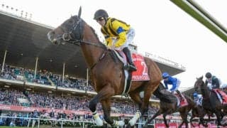 【コックスプレート】レーン「力は出し切ってくれた」プログノーシスは2着