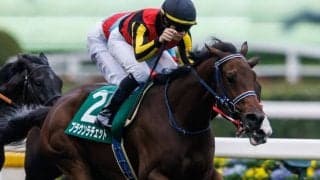 【アルテミスS】ルメール「絶対トップレベルにいける」良血ブラウンラチェットが快勝