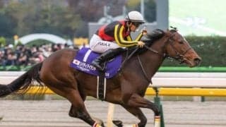 【今日の注目ポイント】昨年の三冠牝馬リバティアイランドが天皇賞(秋)で復帰