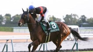 【競馬予想】天皇賞・秋は現役トップクラスが集結も波乱含み...浮上可能な穴馬は２頭