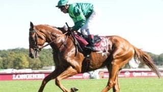 日本軽種馬協会が凱旋門賞馬ソットサスほか3頭の導入発表