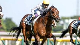 【天皇賞(秋)予想】数字が示すリアルな上位傾向とは？ 過去データから探るGI天皇賞(秋)