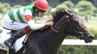 母は重賞3勝のディアデラマドレ カーラデマドレがC.ルメール騎手で確勝期す